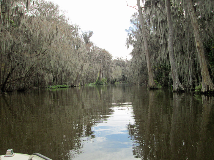 Channel to Lake Eustis