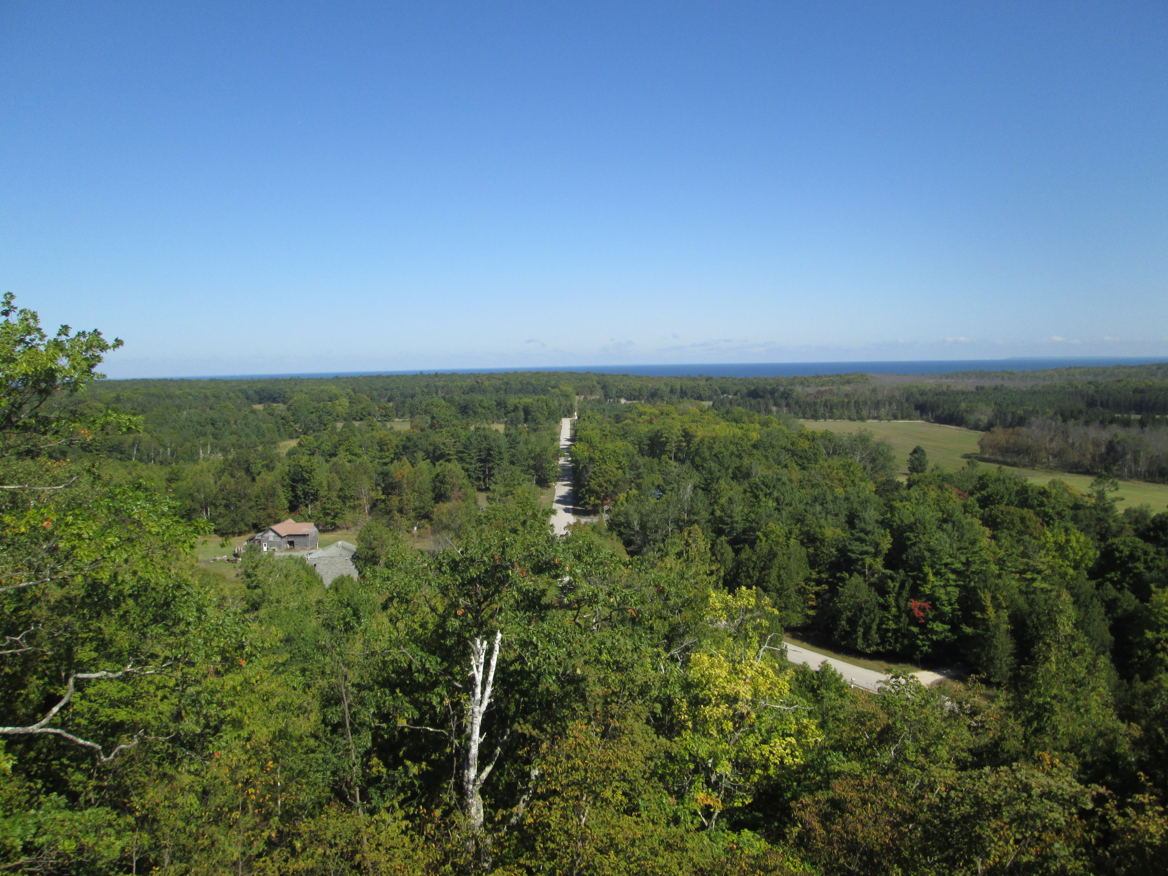 View from Mountain Lookout Tower
