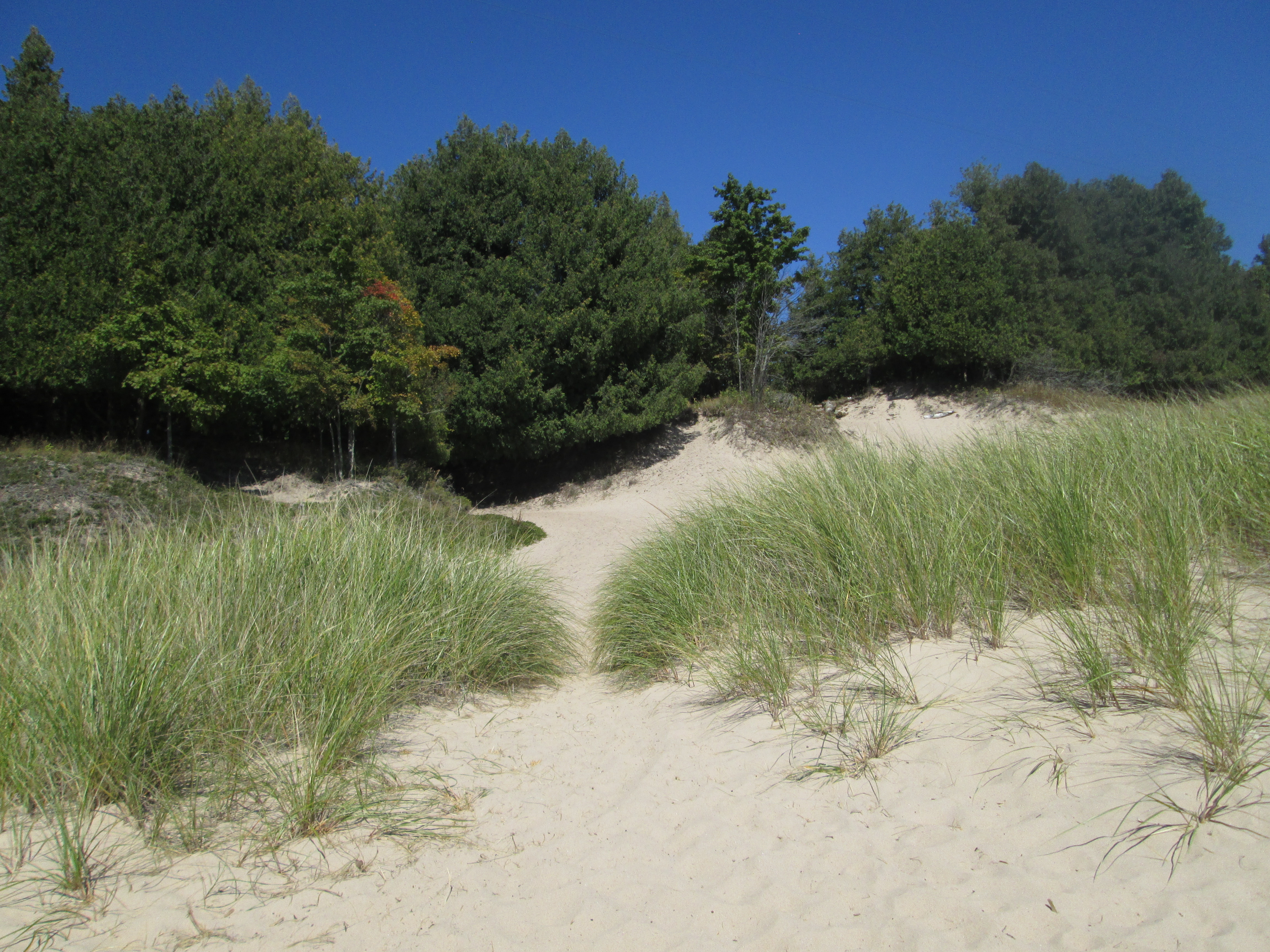 Path to Sand Dunes Beach